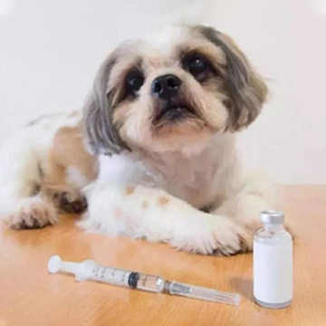 宠物疫苗接种失败的原因